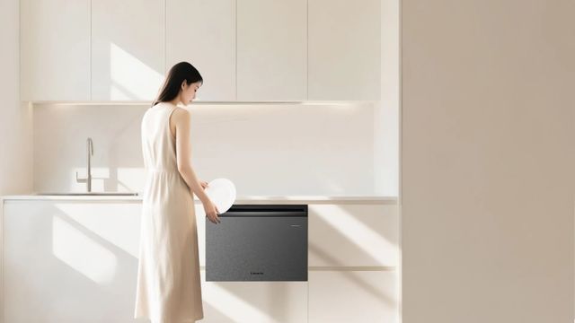 正在迎来技术大爆发时代!开元棋牌app洗碗机行业(图4) 正在迎来技术大爆发时代!开元棋牌app洗碗机行业(图4)